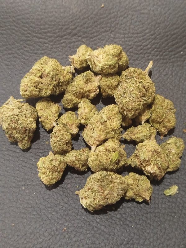 BLUEBERRY INDOOR PREMIUM  ( À PARTIR DE 4,50 EUROS LE G )