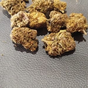 NEW ! SOUR CHEESE HYBRID LEMP  PREMIUM BOOST HURRICANE  ( À PARTIR DE 6,50 EUROS /G )