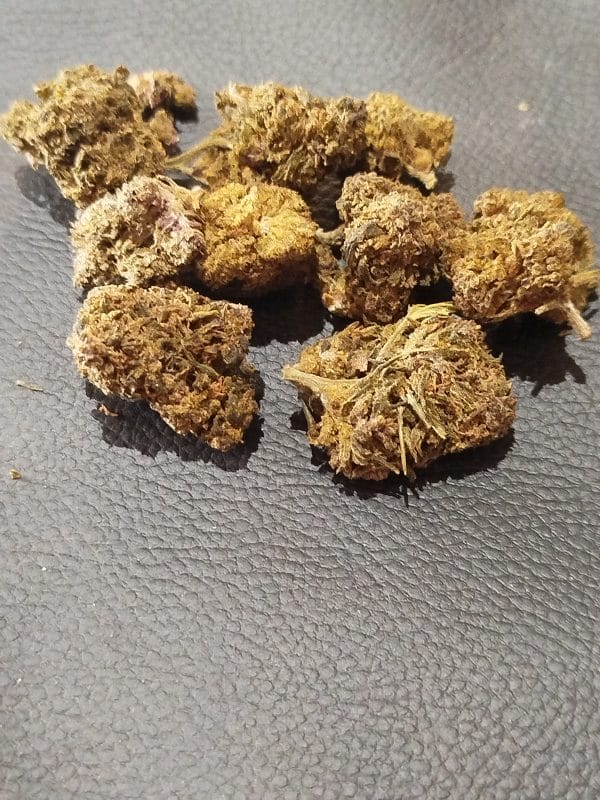 NEW ! SOUR CHEESE HYBRID LEMP  PREMIUM BOOST HURRICANE  ( À PARTIR DE 6,50 EUROS /G )