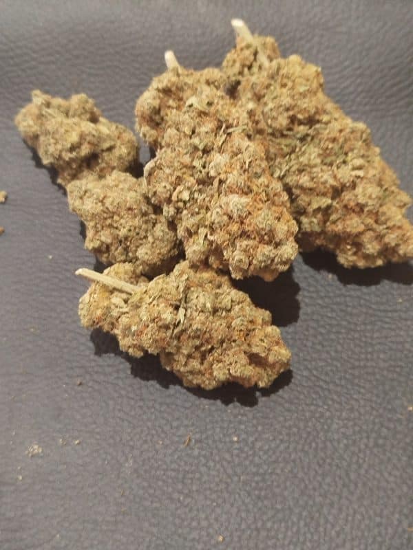 LEMONCELLO INDOOR PREMIUM ( À PARTIR DE 4,50 EUROS LE G )